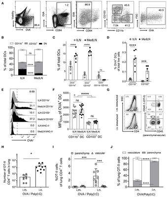 Site-Specific DC Surface Signatures Influence CD4+ T Cell Co-stimulation and Lung-Homing